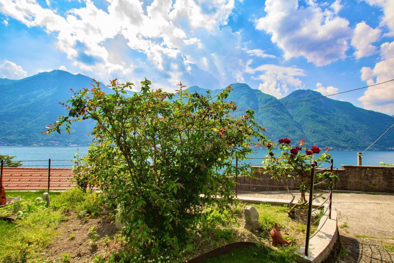 Il Punto Rosso Daire Nesso Dış mekan fotoğraf